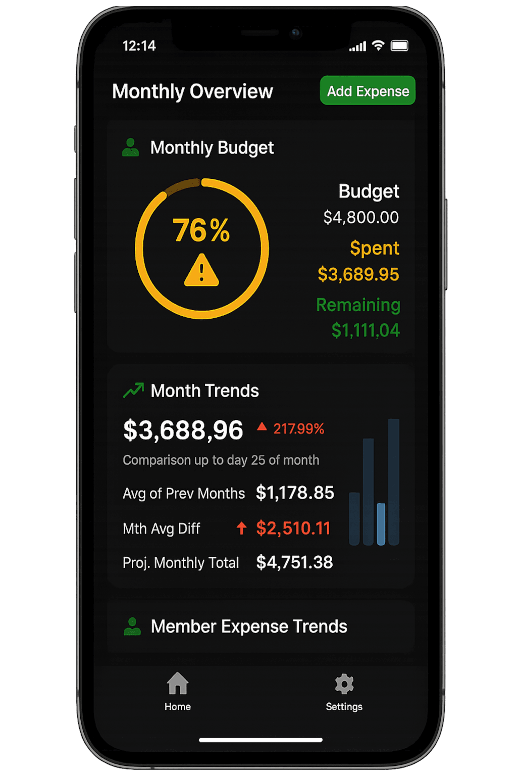 Budget Overview